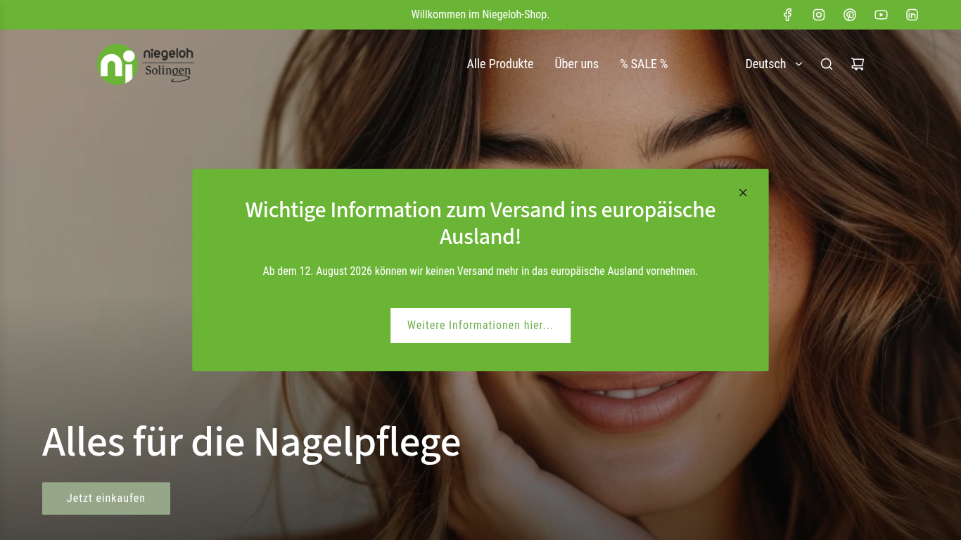 Website-Vorschau des Unternehmens