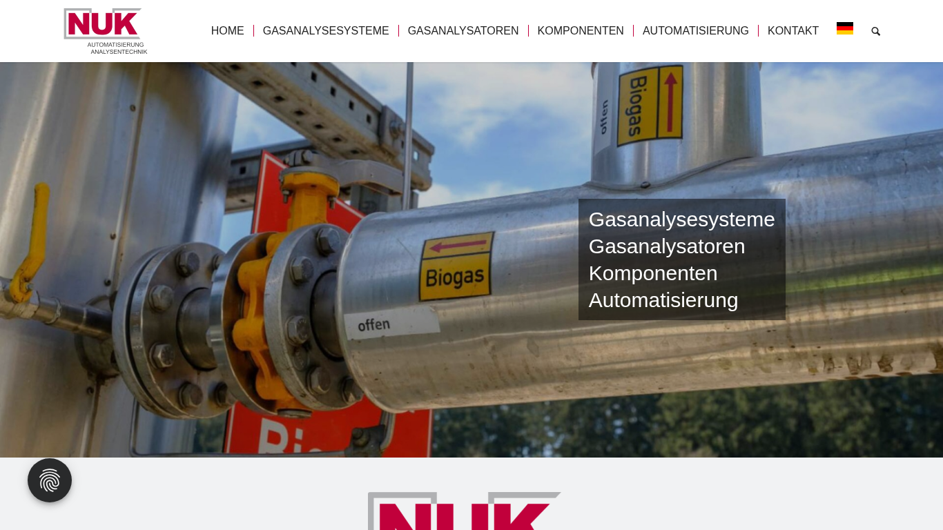 Website-Vorschau des Unternehmens